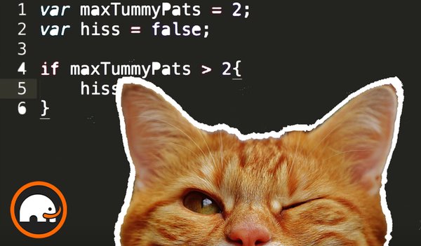 Coding for Cats | Cat-Themed JavaScript Course