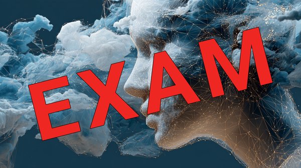 Exam 4 - AI Engineering for Data Scientists – Training and Fine-Tuning Large Models